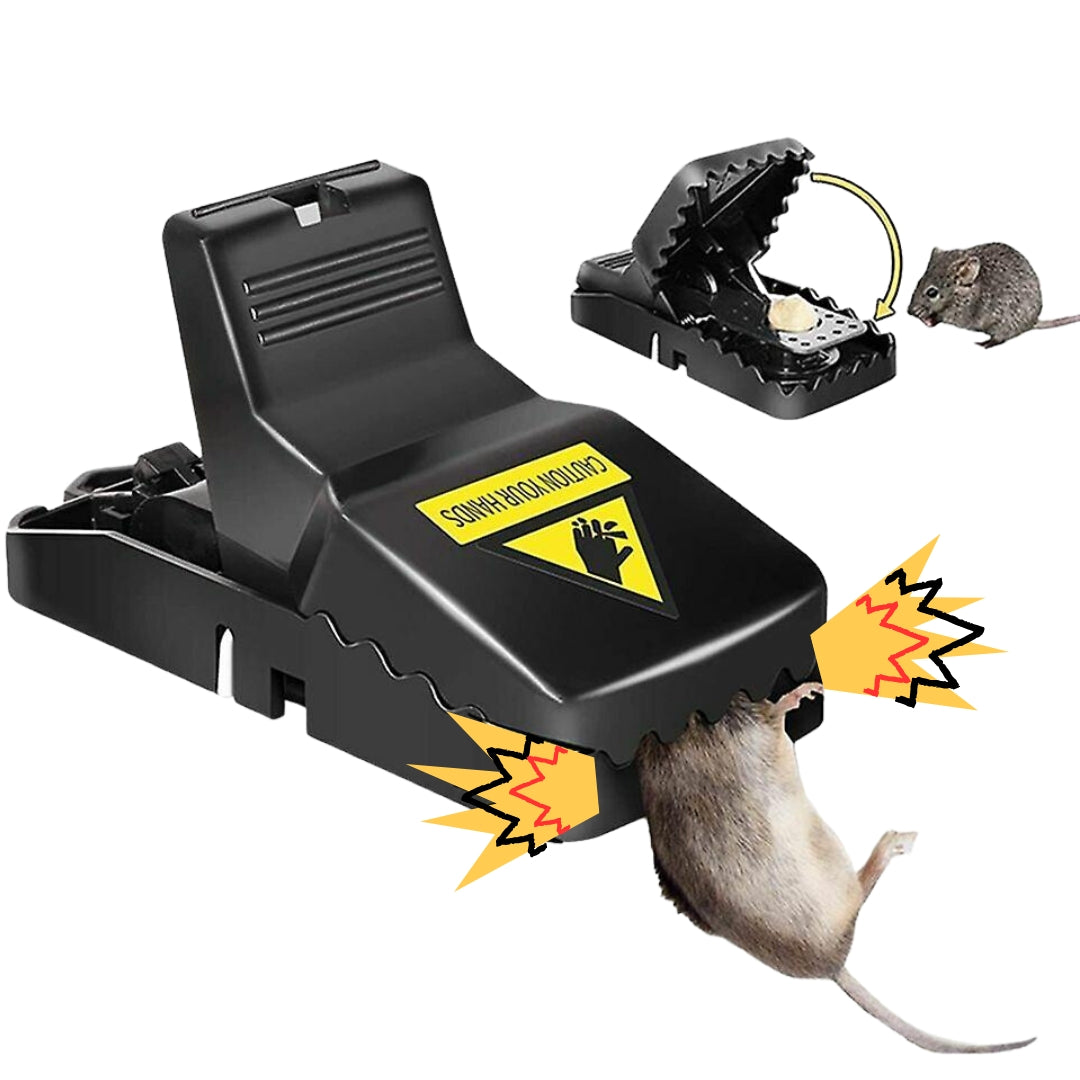 Alt image