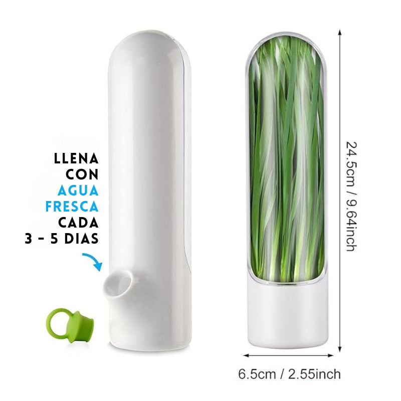 HerbsFresh® - Elegante capsula conservadora de frescura