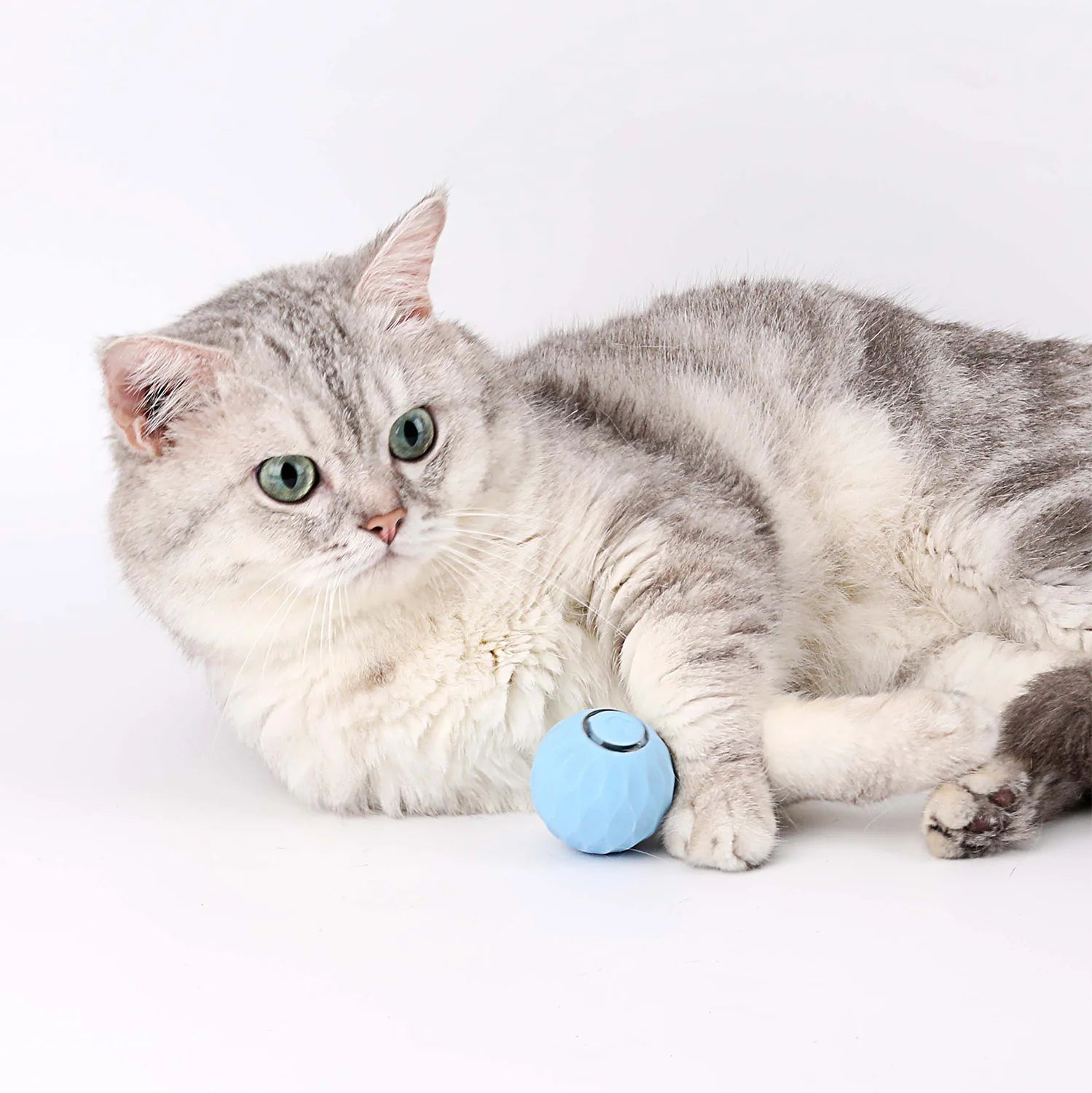 CatSfera™ - 