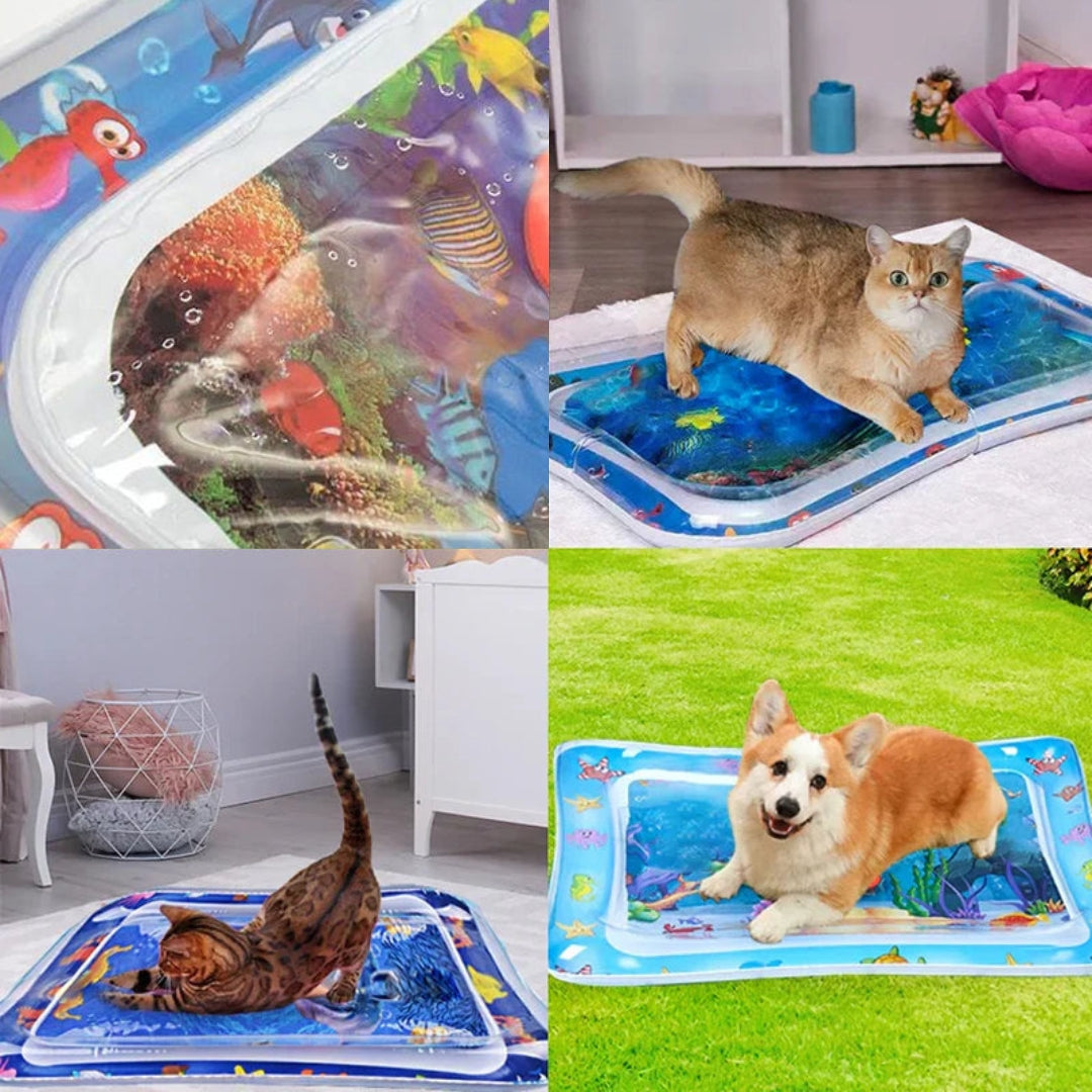 CatPool™ Piscina Inflable Estimulante