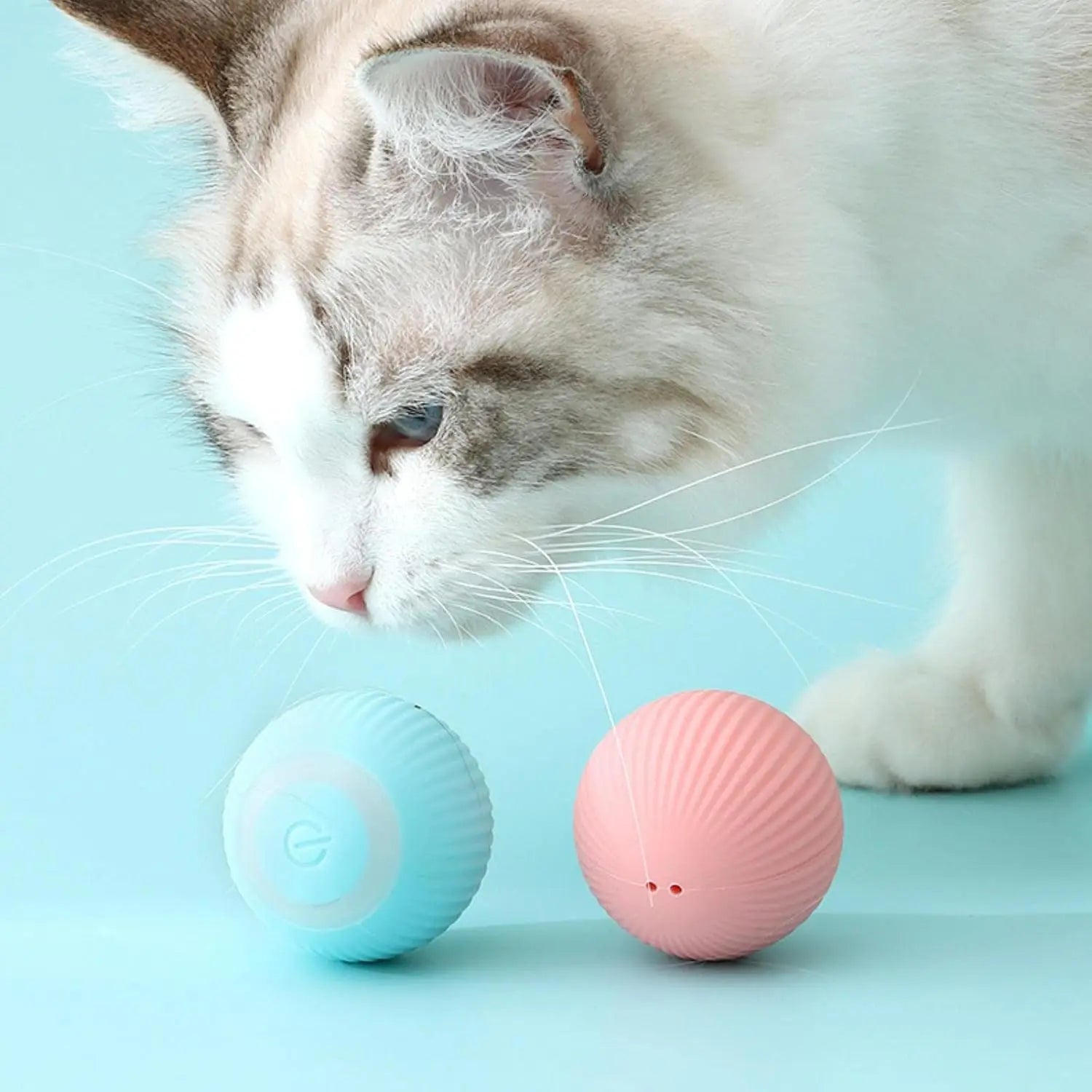 BallSmart™ - Pelota inteligente para gatitos