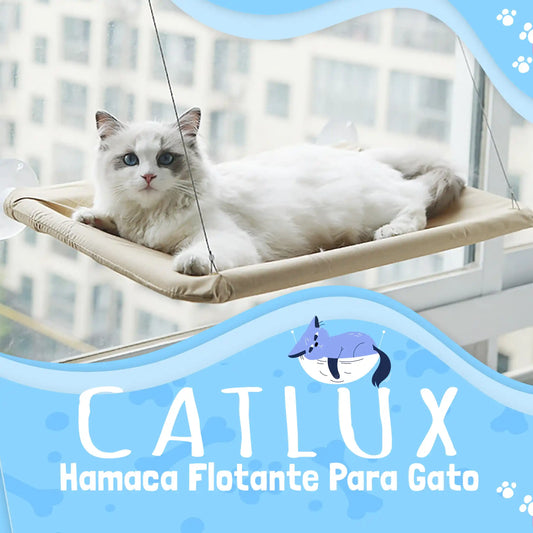 Hamaca flotante para gato